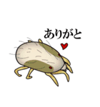 ダニたち（個別スタンプ：2）