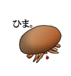 ダニたち（個別スタンプ：14）