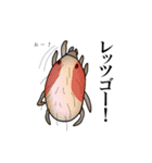 ダニたち（個別スタンプ：36）