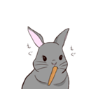 ツンツンもなかのうさぎ生活（個別スタンプ：1）