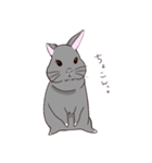 ツンツンもなかのうさぎ生活（個別スタンプ：2）
