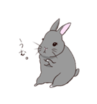 ツンツンもなかのうさぎ生活（個別スタンプ：9）