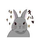 ツンツンもなかのうさぎ生活（個別スタンプ：13）