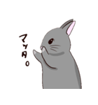 ツンツンもなかのうさぎ生活（個別スタンプ：21）