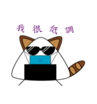 Cool QQ cat（個別スタンプ：19）