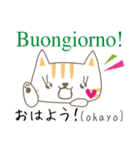 可愛い猫のイタリア語と日本語-2（個別スタンプ：2）