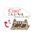 可愛い猫のイタリア語と日本語-2（個別スタンプ：3）