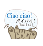 可愛い猫のイタリア語と日本語-2（個別スタンプ：5）