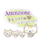 可愛い猫のイタリア語と日本語-2（個別スタンプ：13）
