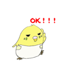 Diapers Bird（個別スタンプ：5）