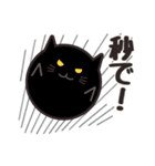 玉ねこ（個別スタンプ：20）