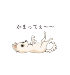 動く犬たち（個別スタンプ：8）