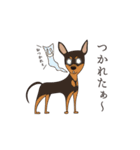 動く犬たち（個別スタンプ：13）