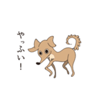 動く犬たち（個別スタンプ：19）