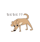 動く犬たち（個別スタンプ：23）