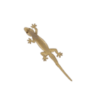 Little House Gecko（個別スタンプ：1）