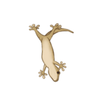Little House Gecko（個別スタンプ：7）