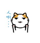 San-Gi cats Animated Stickers（個別スタンプ：2）