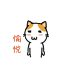 San-Gi cats Animated Stickers（個別スタンプ：3）