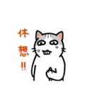 San-Gi cats Animated Stickers（個別スタンプ：4）