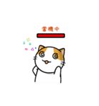 San-Gi cats Animated Stickers（個別スタンプ：12）