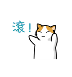 San-Gi cats Animated Stickers（個別スタンプ：14）