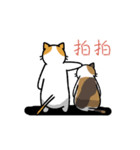 San-Gi cats Animated Stickers（個別スタンプ：17）