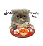 Angpao（個別スタンプ：19）