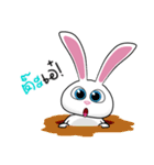 Sai Mai rabbit（個別スタンプ：1）