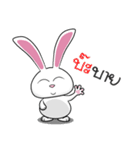 Sai Mai rabbit（個別スタンプ：2）