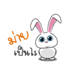 Sai Mai rabbit（個別スタンプ：17）