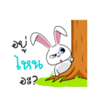 Sai Mai rabbit（個別スタンプ：20）