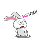 Sai Mai rabbit（個別スタンプ：34）