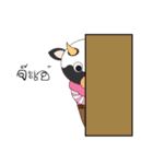 pretty cow（個別スタンプ：21）
