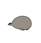 やる気がないあざらし。（個別スタンプ：30）