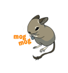 デグーでおへんじ（個別スタンプ：2）