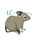 デグーでおへんじ（個別スタンプ：6）