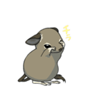 デグーでおへんじ（個別スタンプ：8）