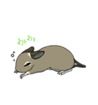デグーでおへんじ（個別スタンプ：11）