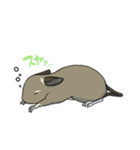 デグーでおへんじ（個別スタンプ：12）