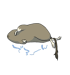 デグーでおへんじ（個別スタンプ：16）