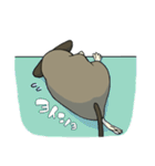 デグーでおへんじ（個別スタンプ：24）