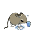 デグーでおへんじ（個別スタンプ：31）