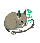 デグーでおへんじ（個別スタンプ：32）