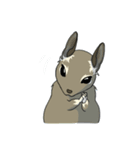 デグーでおへんじ（個別スタンプ：38）