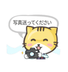 Jimmy the Cat（個別スタンプ：1）