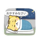 Jimmy the Cat（個別スタンプ：3）