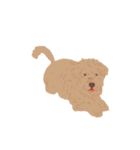 MONG MONG HAL HAL（個別スタンプ：13）