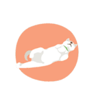 MONG MONG HAL HAL（個別スタンプ：17）