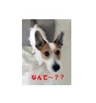 ビッケたん 1つめ（個別スタンプ：8）